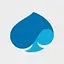 Capgemini's logo